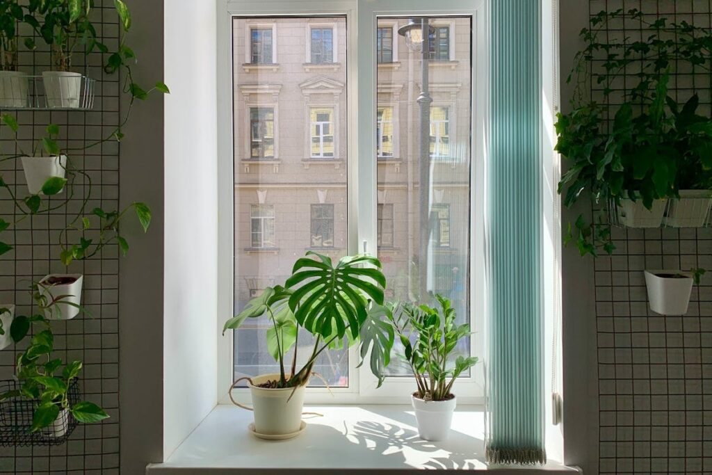 Entretien de fin de saison de chauffage : la checklist pour repartir sur de bonnes bases 6 Fenêtre lumineuse entourée de plantes vertes au printemps