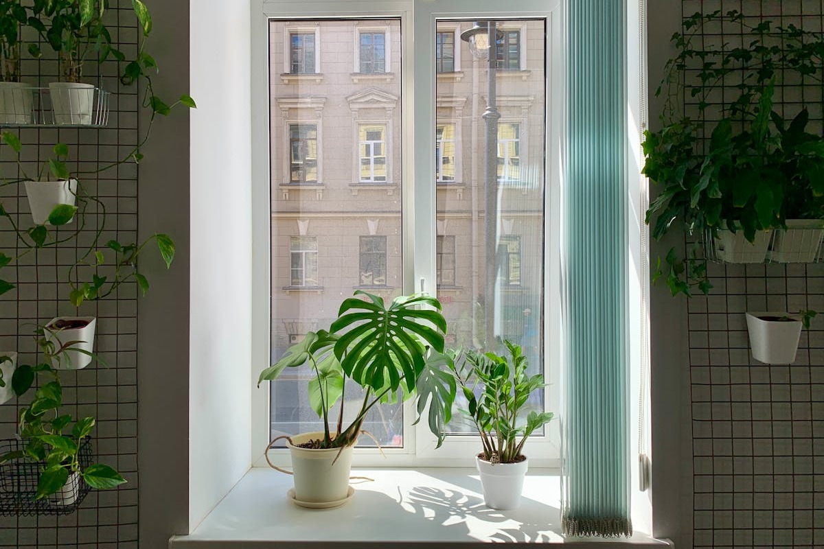 Entretien de fin de saison de chauffage : la checklist pour repartir sur de bonnes bases 2 Fenêtre lumineuse entourée de plantes vertes au printemps